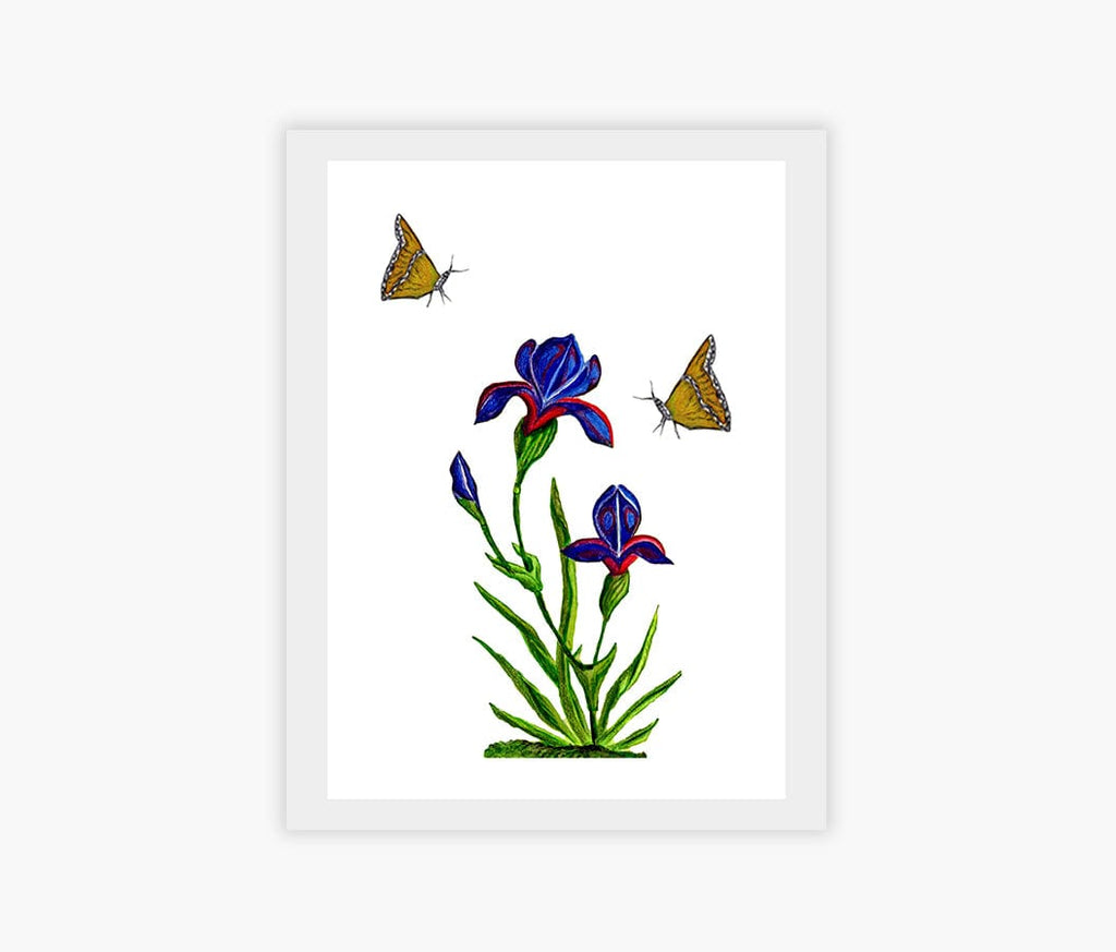 Kannika Art The Iris Bloom | Art Print