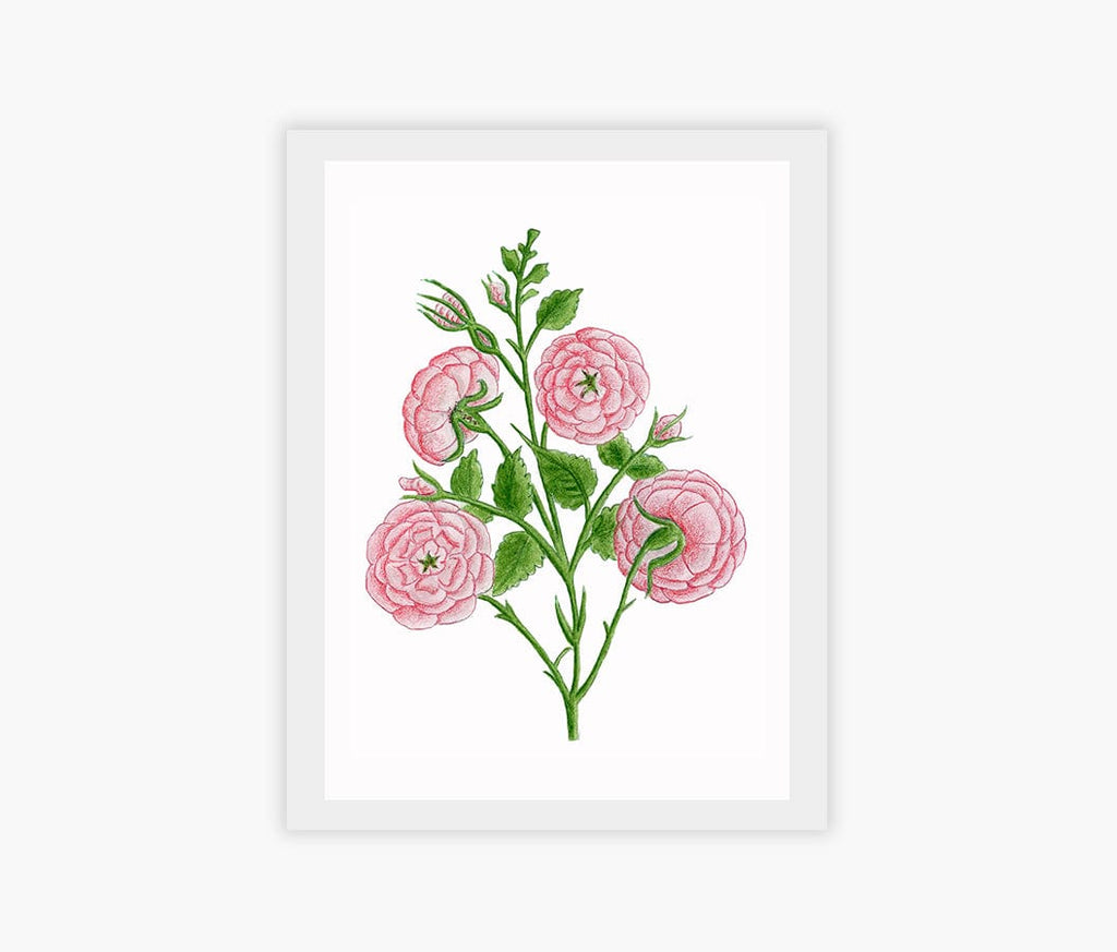Kannika Art Roses | Art Print