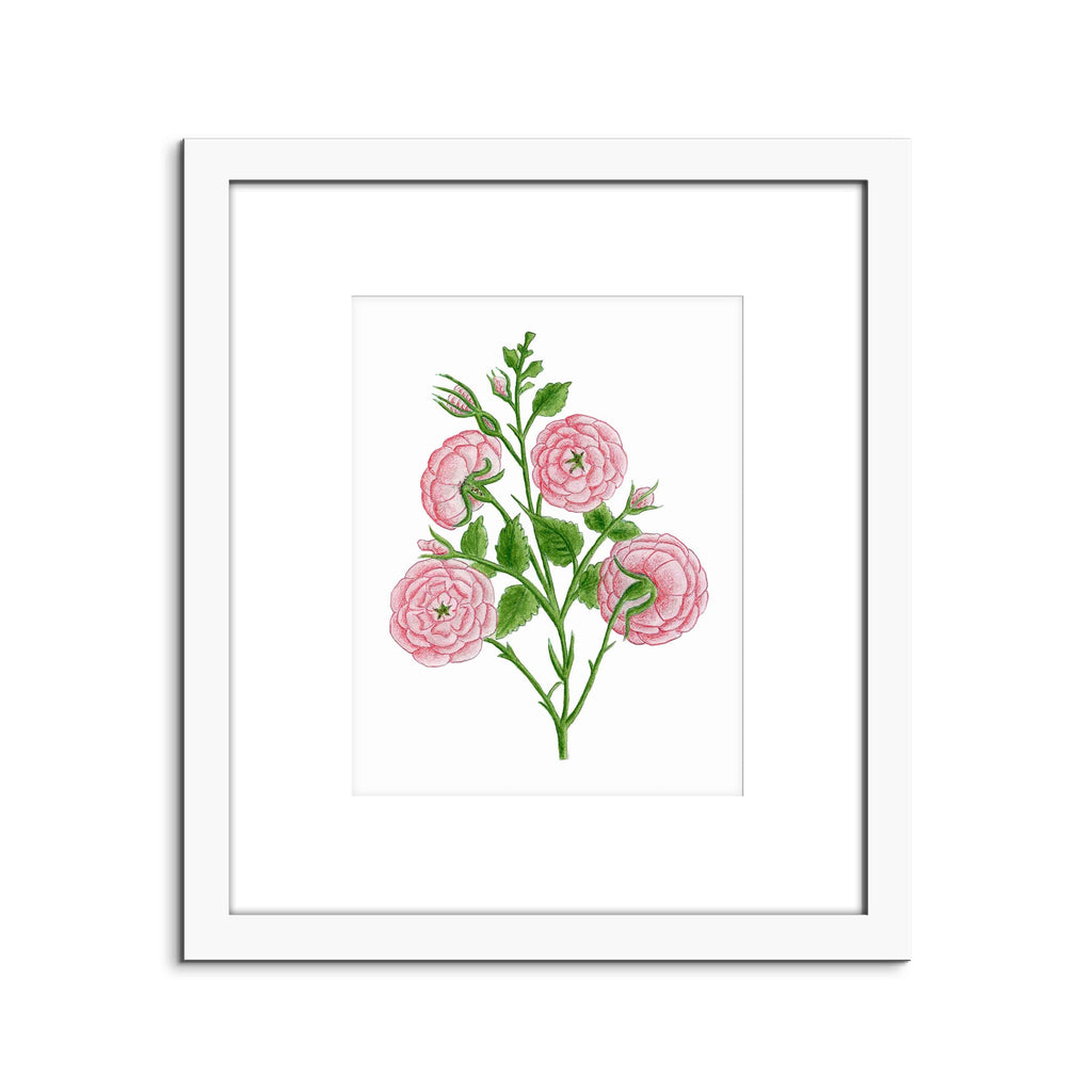 Kannika Art Roses | Art Print
