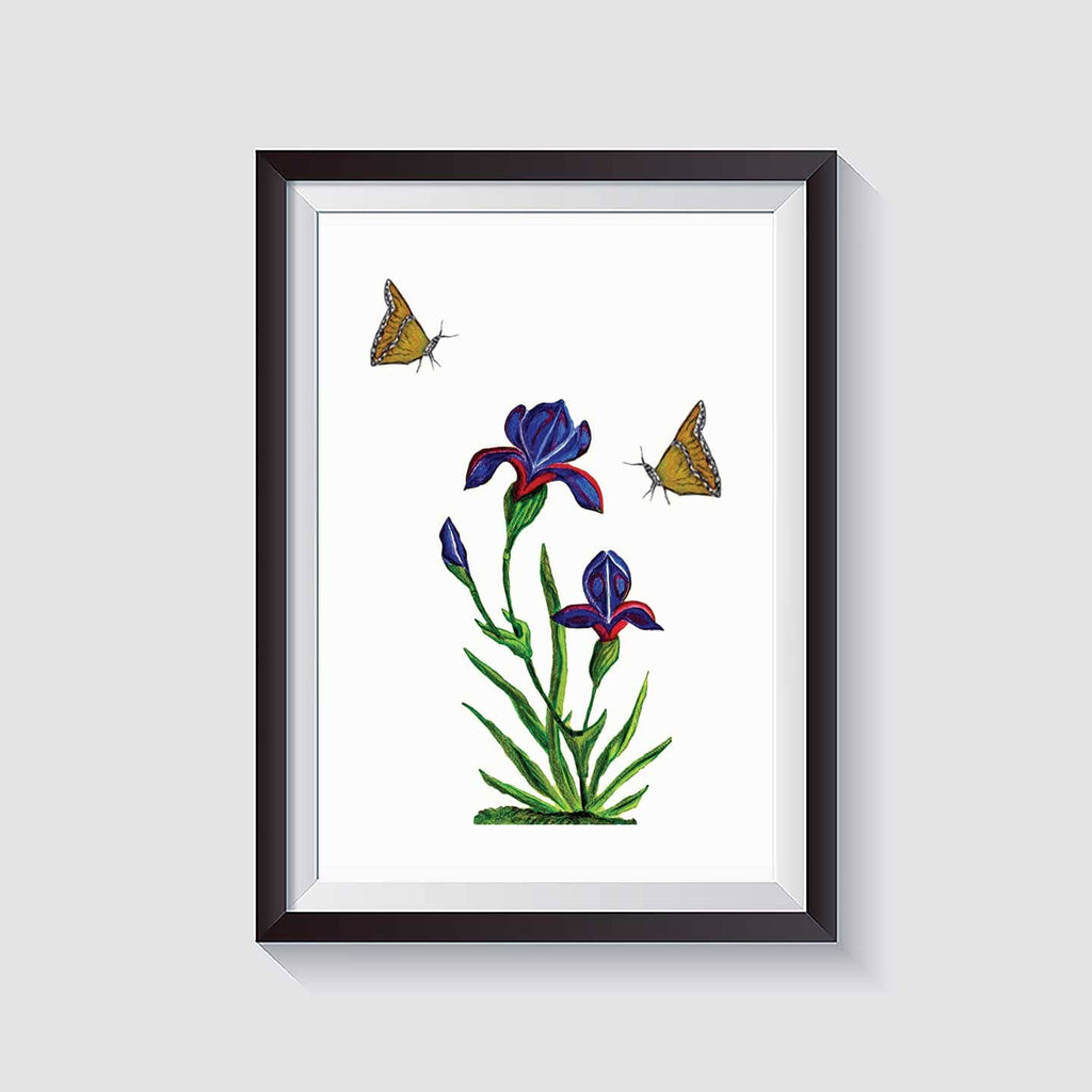 Kannika Art The Iris Bloom | Art Print